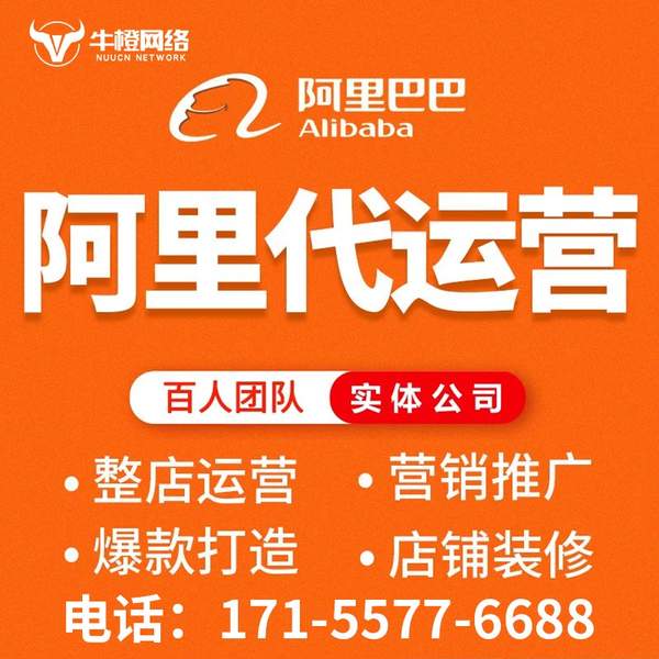 遵义电商代运营