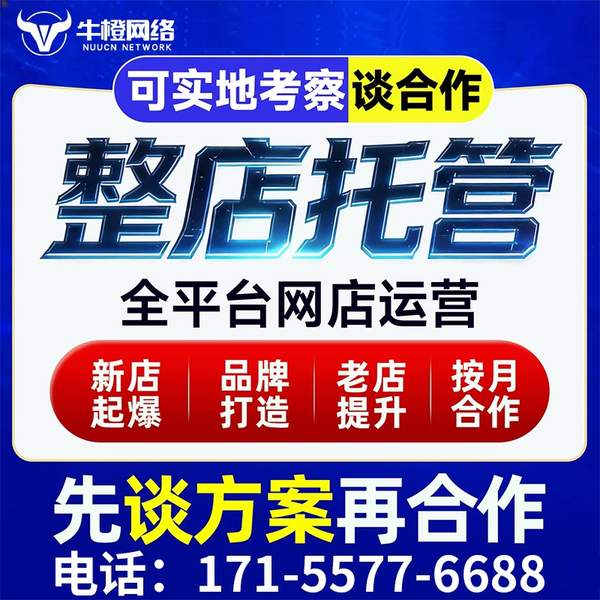 遵义电商代运营