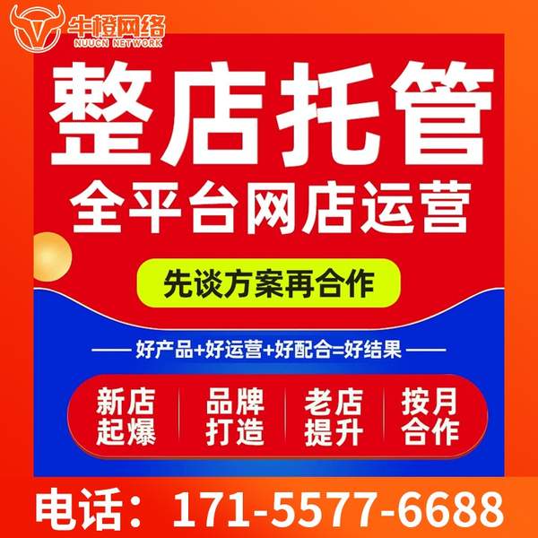 遵义电商代运营