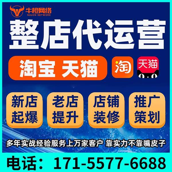 遵义电商代运营
